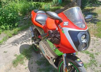 Derbi gpr 50 r