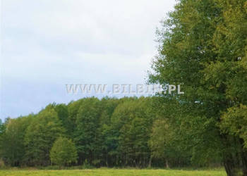 Oferta sprzedaży gruntu Sokołowo 16096m2