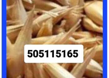 Sprzedam owies z jeczmieniem