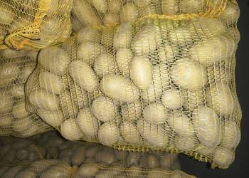 Sprzedam ziemniaki jadalne