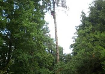 Usługi alpinistyczne