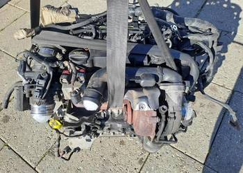 Ford Fokus 2010r. 1.6 TDCi silnik kompletny kod 9M5Q-G8DA 133tys. Ford Fokus 2010r. 1.6 TDCi silnik kompletny kod 9M5Q-G8DA 133tys.