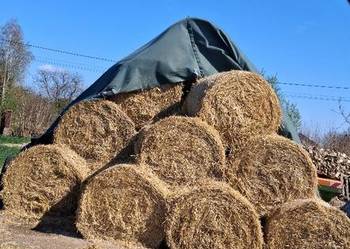 Słoma pszenna 120/120 spod flizu