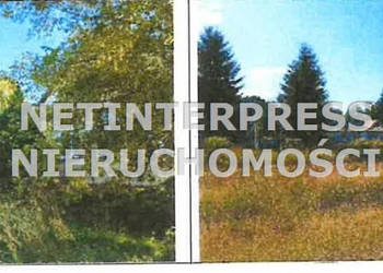 Oferta sprzedaży lokalu Piotrowiec 386.93 metry