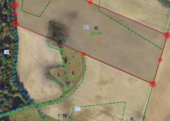 Sprzedam ziemię rolną 10,5ha Popielewo Gm Koronowo