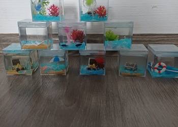 Małe akwaria dekoracyjne