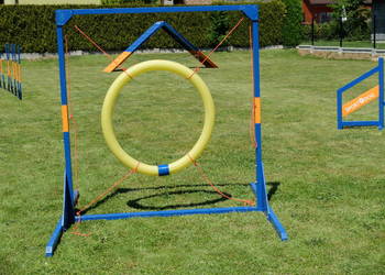 Koło do agility (nowe)