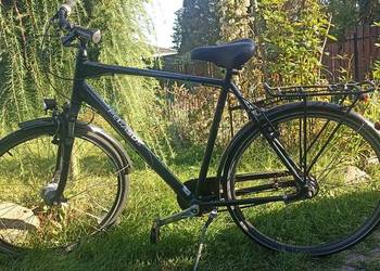 Rower PEGASUS TORINO