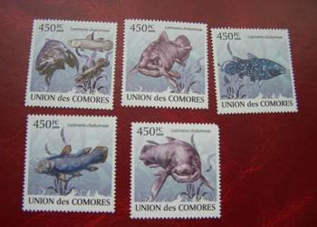 Komory 2009 MNH Fauna Ryby Latimeria 5v set