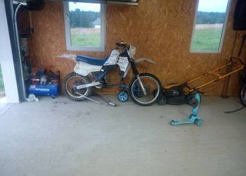 Suzuki TS 250