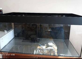 Zestaw pod akwarium morskie akwarium szafka dębowa stelaż lampa sump i inne