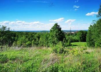 Do sprzedaży grunt Buków 4000m2