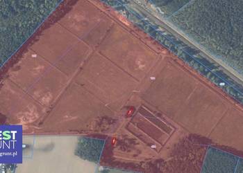 [48,14 ha] przetarg na dzierżawę gruntów inwestycyjnych