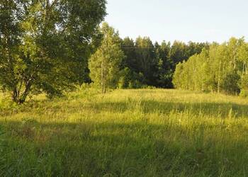 Polecam działkę rolno-leśną - MIKŁASZEWO (gm.NAREWKA)