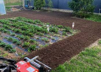 Usługi glebogryzarką separacyjną *Gleb-on*