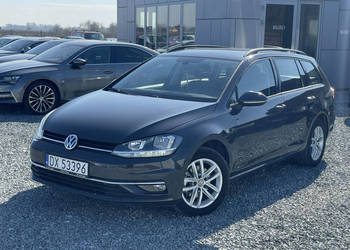 Volkswagen Golf 1,6 TDi DSG Comfortline 2019r, 55 tys. km, ACC VII (2012-)