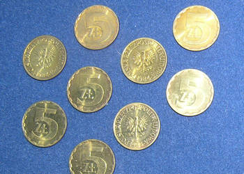 moneta PRL nominał 5 zł 1984r_D