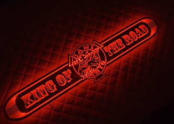 KING OFTHE ROAD  mirror 100x25cm 24v multicolor, 3m cable lenght + ciggare…