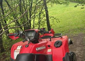 Suzuki Kingquad 750 4x4 blokada