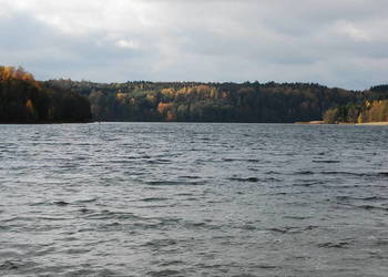 Mazury! Stare Juchy działki w okolicach jeziora lasu.