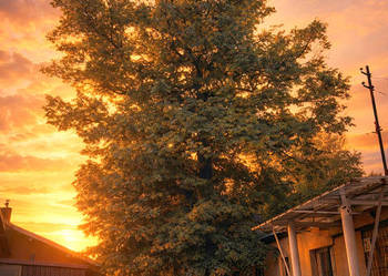 GRUNT INWESTYCYJNY – DĄBROWA GÓRNICZA, AL. J. PIŁSUDSKIEGO 2