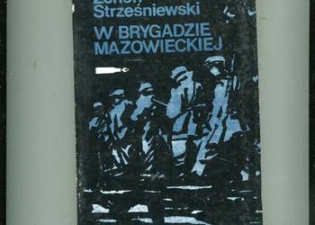 W Brygadzie Mazowieckiej - Zenon Strześniewski