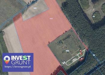 [11,18 ha] przetarg na dzierżawę gruntów rolnych