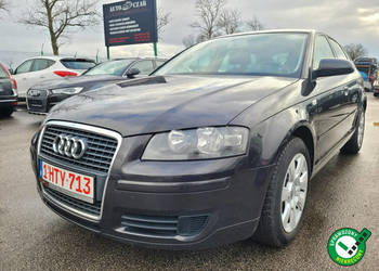 Audi A3 1.9TDI 105KM Zarejestrowana w PL 8P (2003-2012)