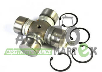 Y116555 KRZYŻAK WAŁU AMAZONE