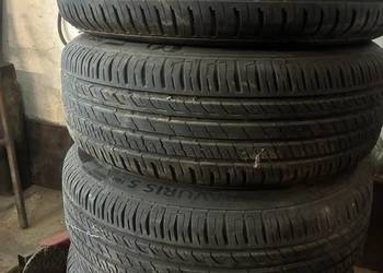 Opony letnie Barum Bravurius 5 205 60 16