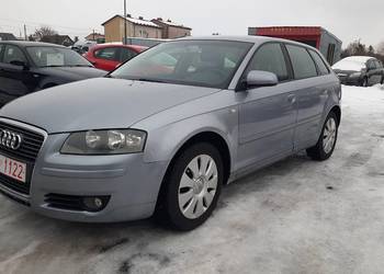 Audi A3 1.6 Benzyna / 5 Drzwi / Klima / Alu / Zadbana / Opłacona