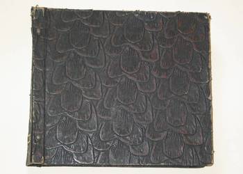 Płyty  w Etui  szelakowe szt 11 - zagraniczne