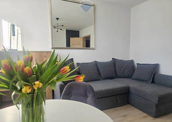 Na wynajem 2 pokoje ul.Polna, Jeżyce