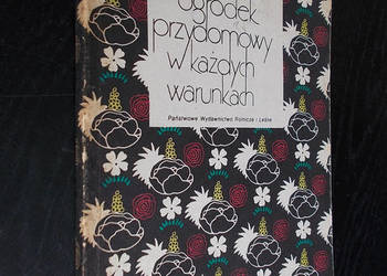 Ogródek przydomowy w każdych warunkach - P. H. Nengelken