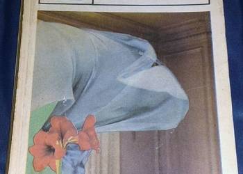 Klatka latem w ogrodzie - Margaret Drabble