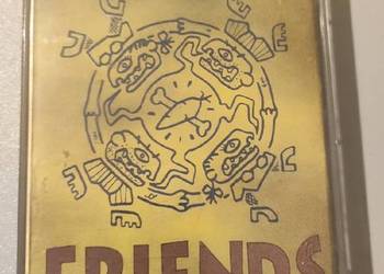 The False Friends. Heartcore rec. Punk folk MC