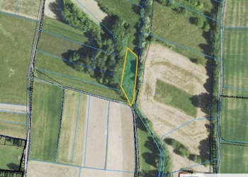 Grunt Gogołów 12200m2