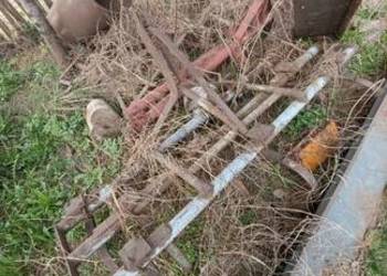 Pielnik ziemniaków kukurydzy