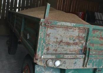 Przyczepa rolnicza Autosan D50