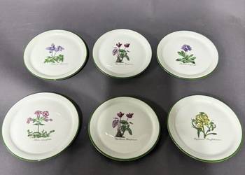 Talerzyki botaniczne