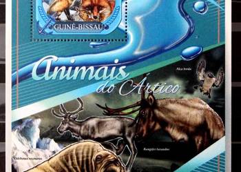 Gwinea Bissau (fauna arktyczna ) 1