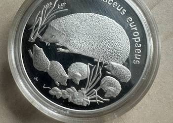 Moneta kolekcjonerska Jeż srebro