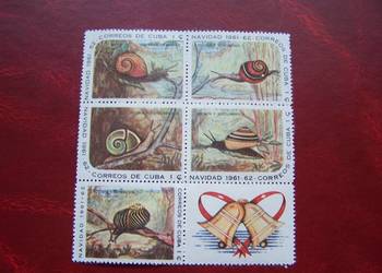 Kuba 1961 MNH Mi. 731/35. Fauna Ślimaki Muszle  a