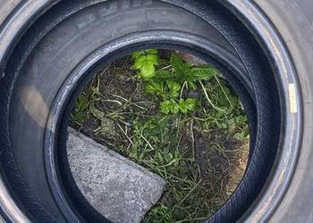Opony zimowe Sunfull SF 982  195/55 R15