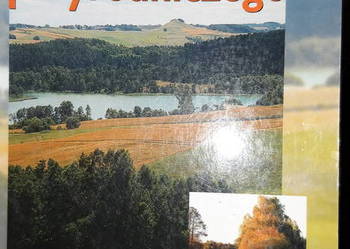 Geografia matura Podręcznik kolekcjonerskie książki