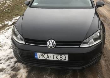 Volkswagen Golf 7 Rok 2014 RLine