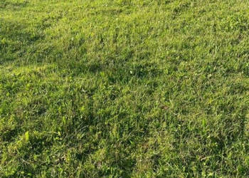 Oferta sprzedaży gruntu Smołdzino 500m2