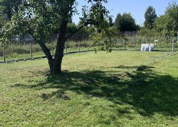 Ogródek działkowy ROD Zagroda Wrocław Kłokoczyce