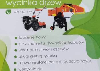 Usługi ogrodnicze wycinka drzew Sędziszów Małopolski