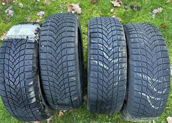 Opony zimowe Dayton DW510 205/55/16